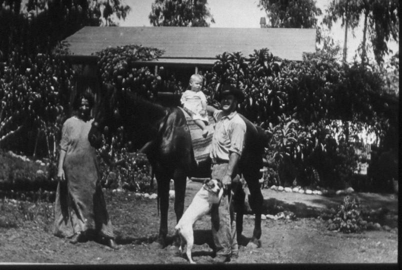 Archival black-and-white photograph of two adults standing either side of a horse with a small child seated on its back, a dog in the foreground, outside a house screened by dense planting.